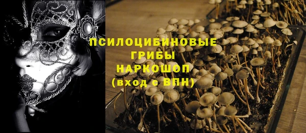 твердый Касимов