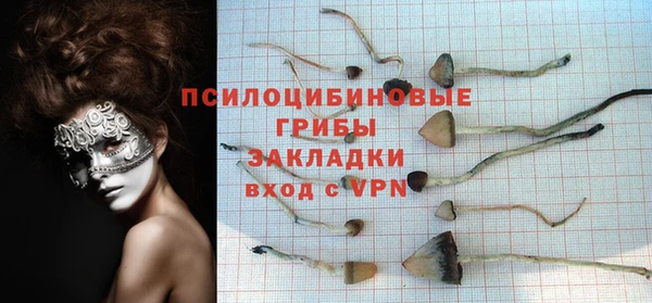синтетический гашиш Карпинск