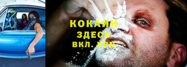 твердый Касимов