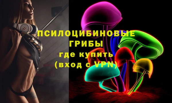 твердый Касимов