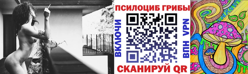 Купить закладки  Кизел  Галлюциногенные грибы Cubensis 